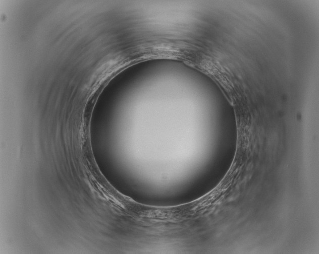 X0000089750338200706211532