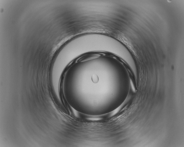 X0000089750348200706211533
