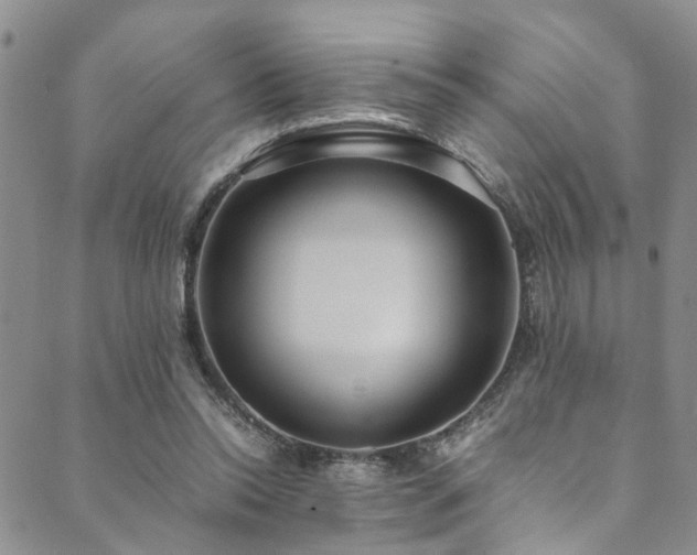 X0000089750350200706211533