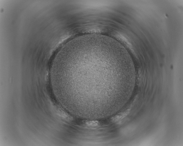 X0000089750355200706211533