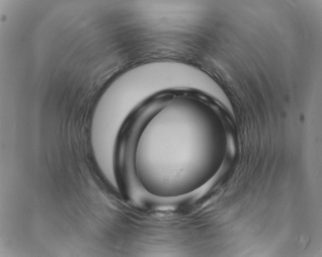 X0000089750364200706211533
