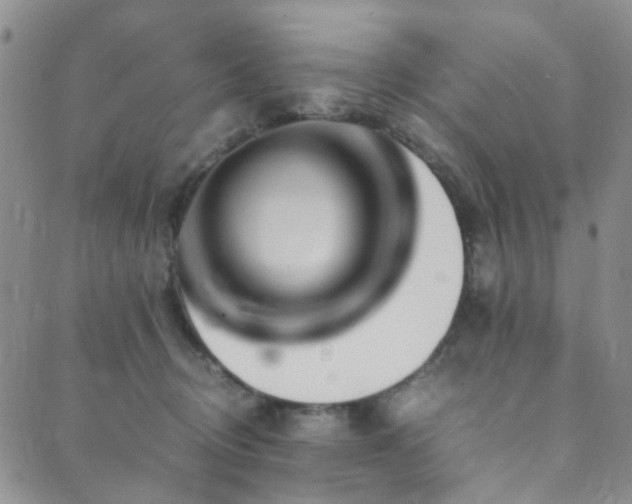 X0000089750370200706211533