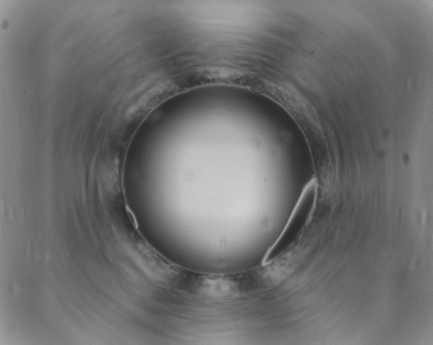 X0000089750376200706211533