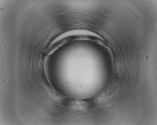 X0000089750379200706211533