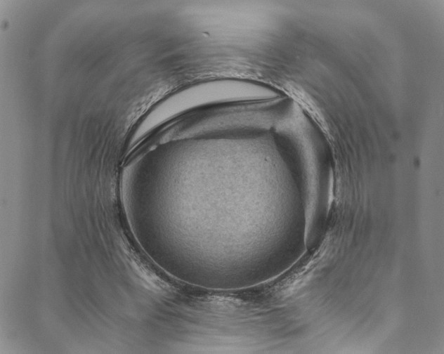 X0000089750393200706211532