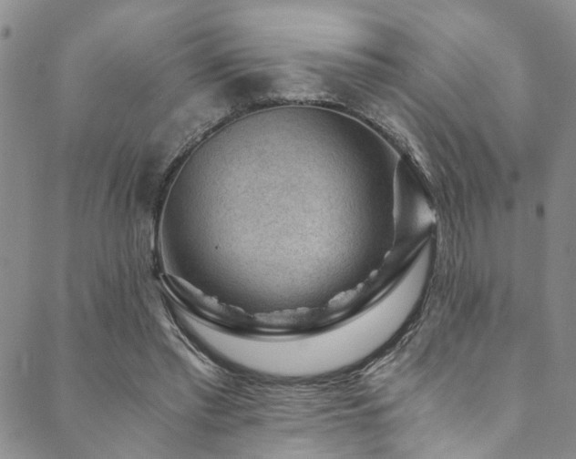 X0000089750397200706211532