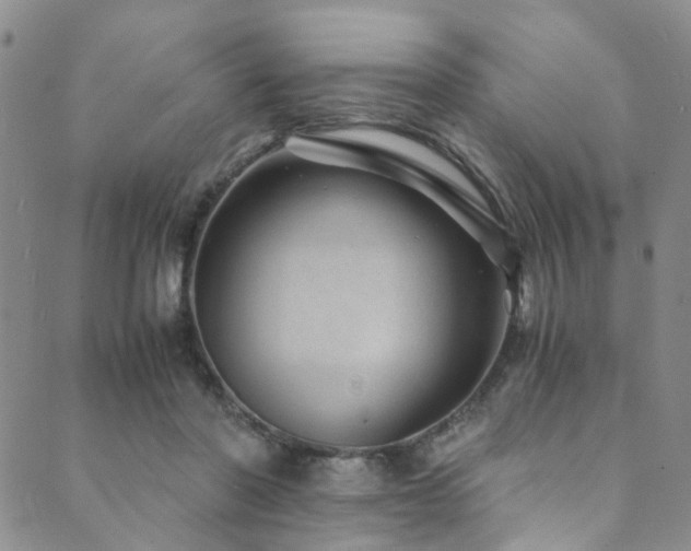 X0000089750406200706211532