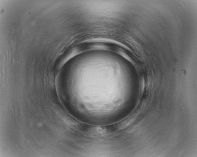 X0000089750421200706211532