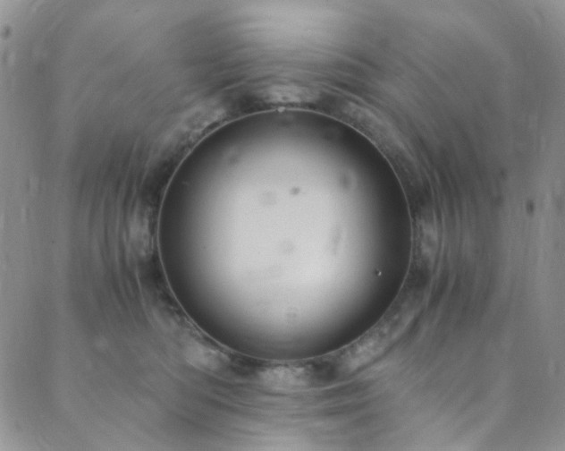 X0000089750422200706211532