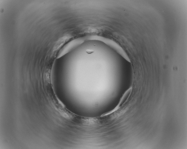 X0000089750432200706211532