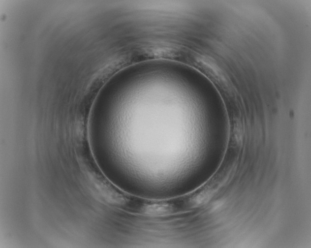 X0000089750461200706211531
