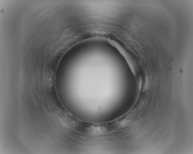 X0000089750464200706211531