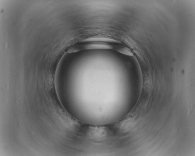 X0000089750469200706211531