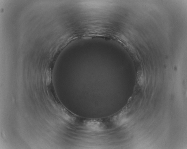 X0000089750471200706211531