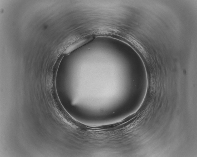 X0000089750485200706211531