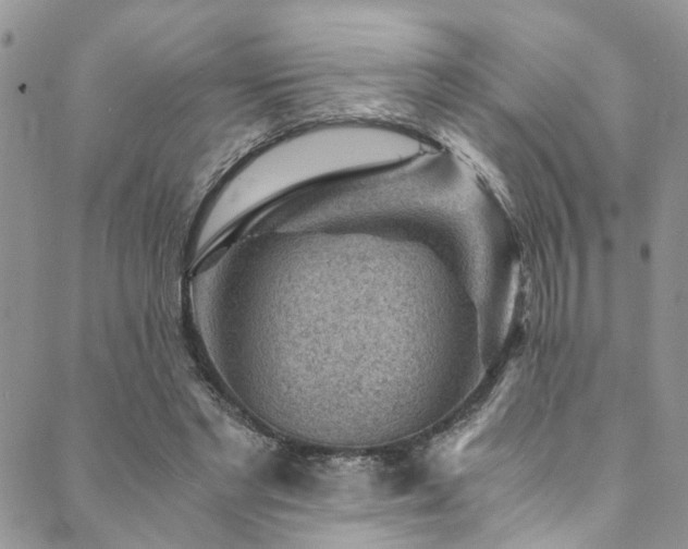X0000089750493200706211531
