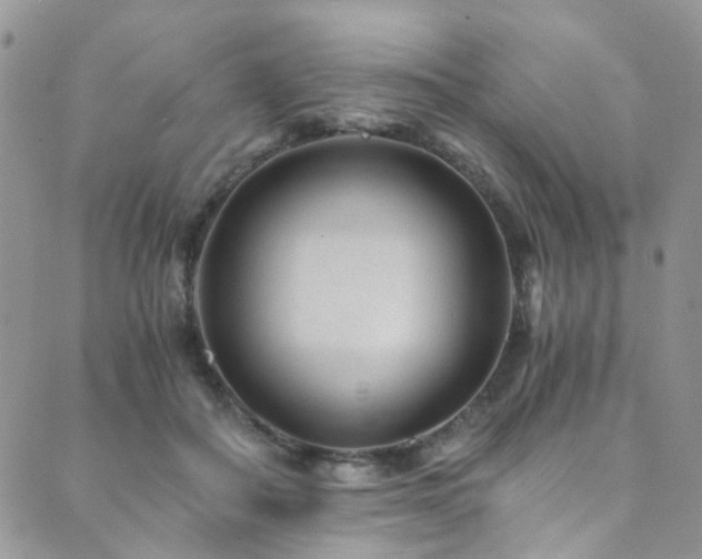 X0000089750506200706211530