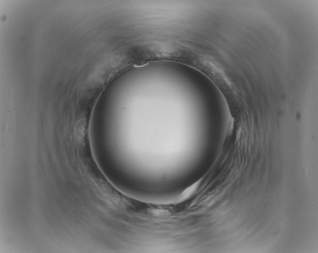 X0000089750509200706211530