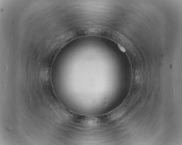 X0000089750514200706211530