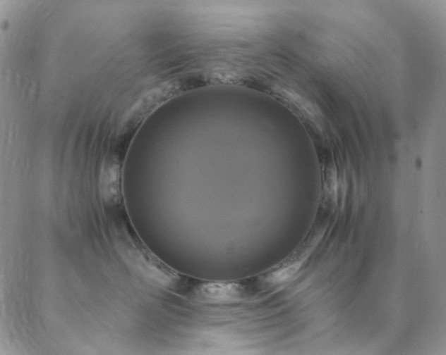 X0000089750526200706211530