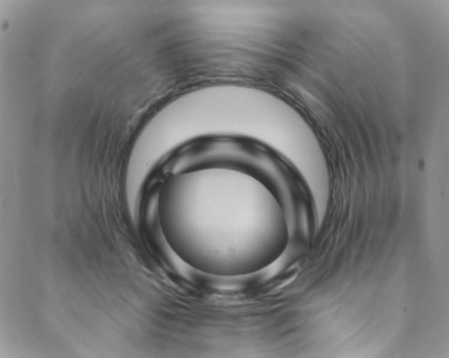 X0000089750556200706211530