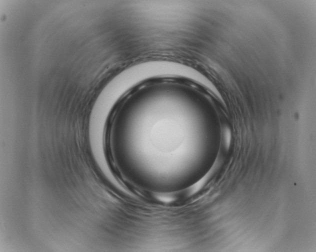X0000089750558200706211530