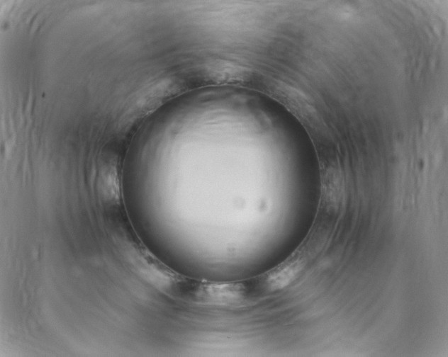 X0000089750622200706211528