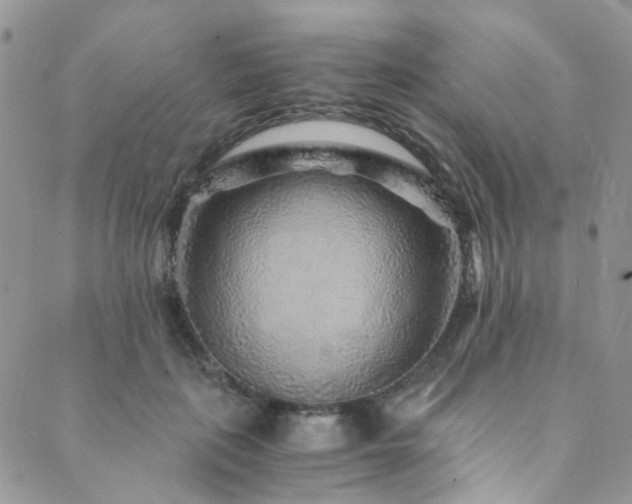X0000089750651200706211528
