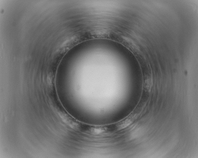 X0000089750662200706211528