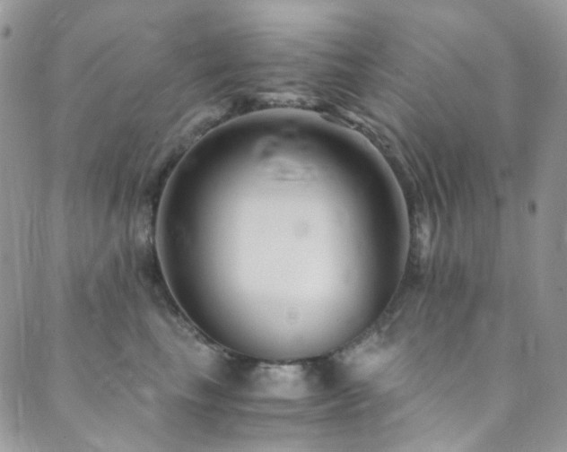 X0000089750665200706211528