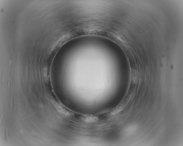X0000089750670200706211528