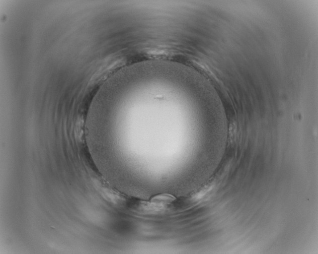 X0000089750671200706211528
