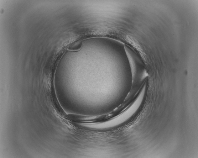 X0000089750681200706211528