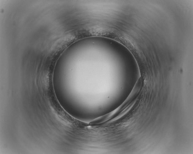 X0000089750690200706211527