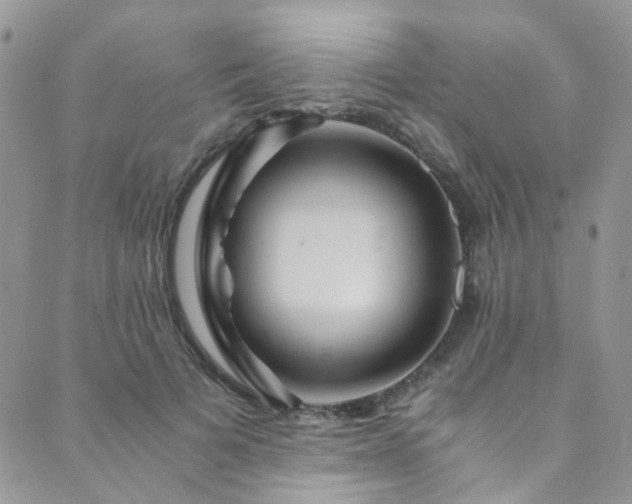 X0000089750697200706211527