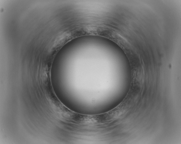 X0000089750702200706211527