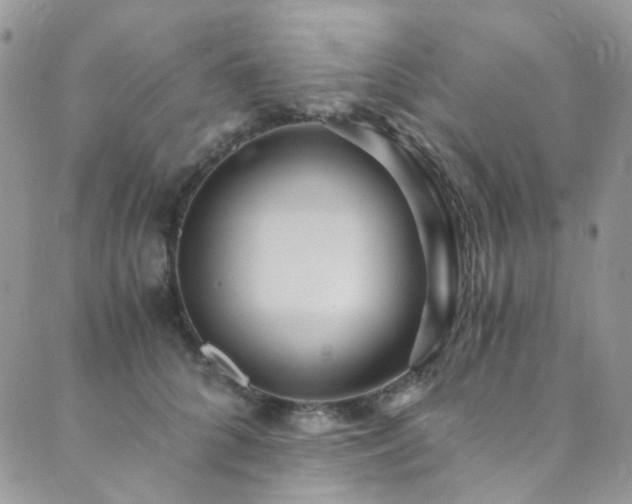 X0000089750704200706211527