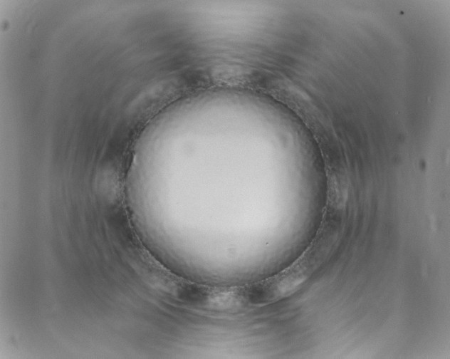 X0000089750705200706211527