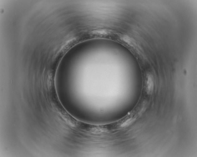 X0000089750708200706211527