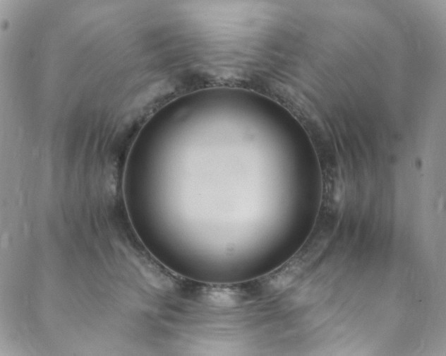 X0000089750710200706211527
