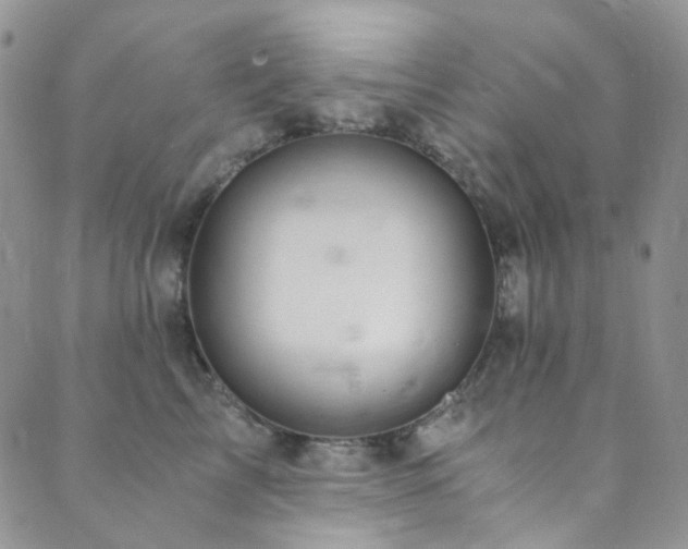 X0000089750713200706211527