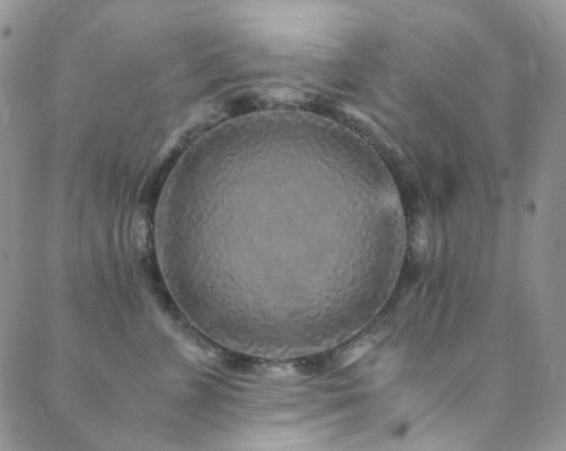X0000089750715200706211527