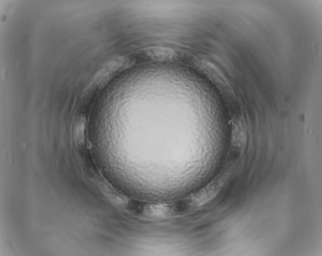 X0000089750717200706211527