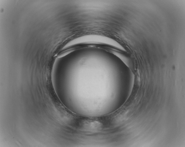 X0000089750747200706211527