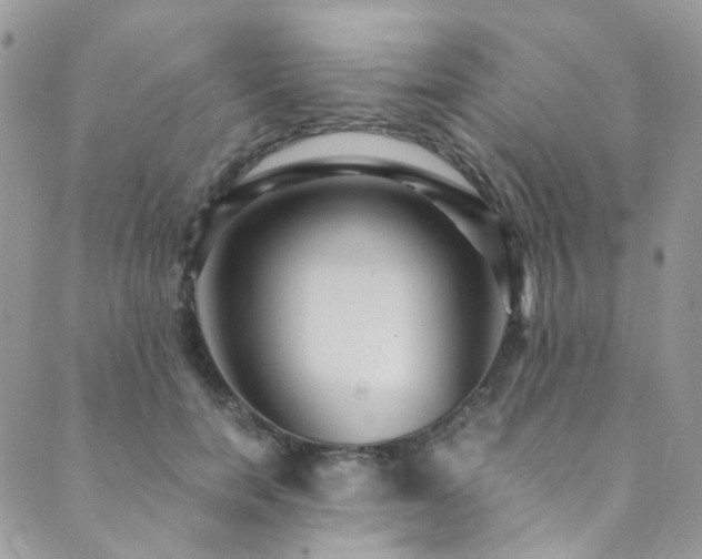X0000089750750200706211527