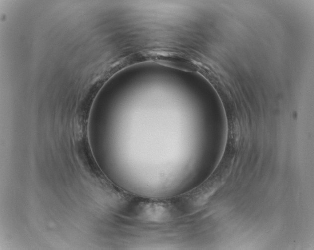 X0000089750751200706211527