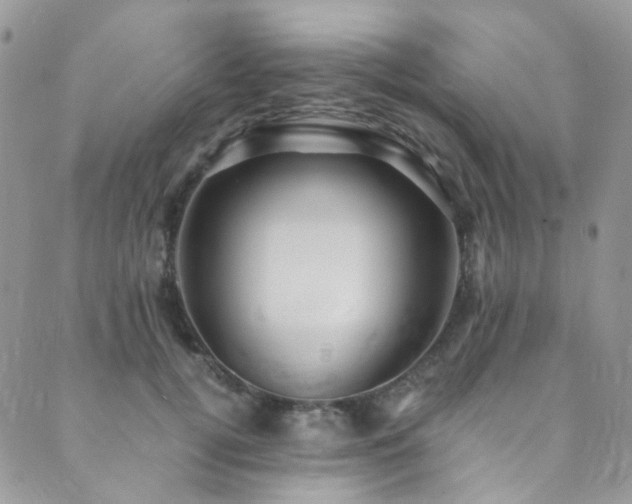 X0000089750752200706211527