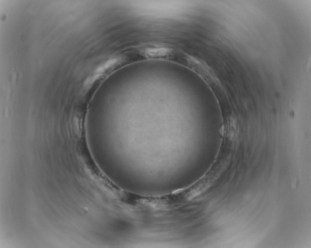 X0000089750763200706211527