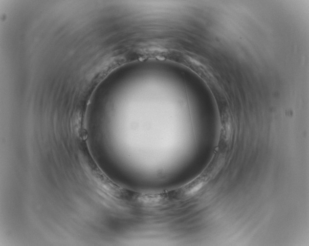 X0000089750767200706211527