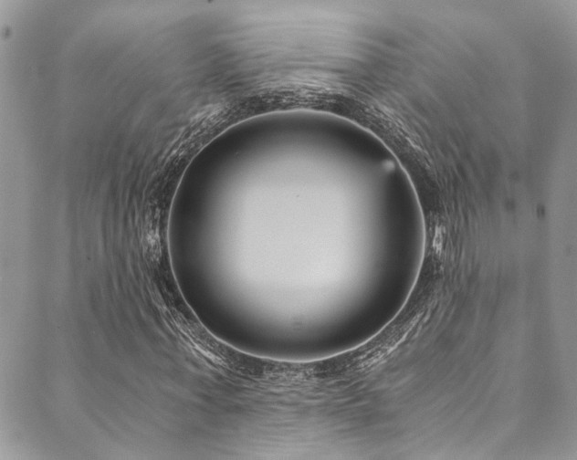 X0000089750771200706211526